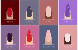 The different shapes of nails